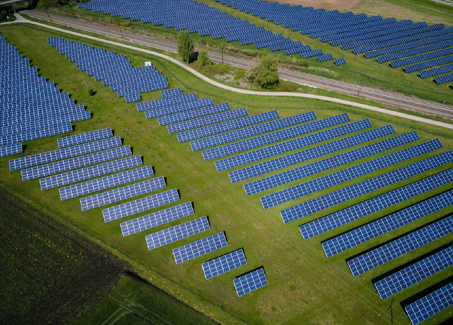Fotosynteza w cieniu modułów PV. Jak rośliny uprawne modyfikują swój metabolizm pod panelami