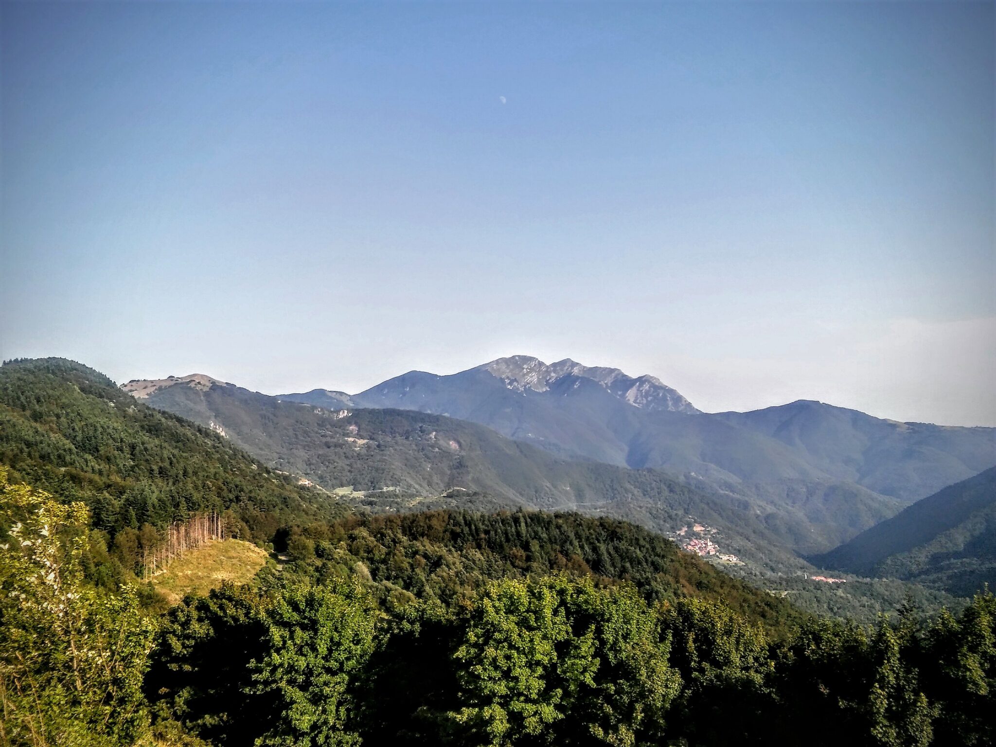 By Melancholia~itwiki – Own work, CC BY-SA 4.0, https://commons.wikimedia.org/w/index.php?curid=61466284