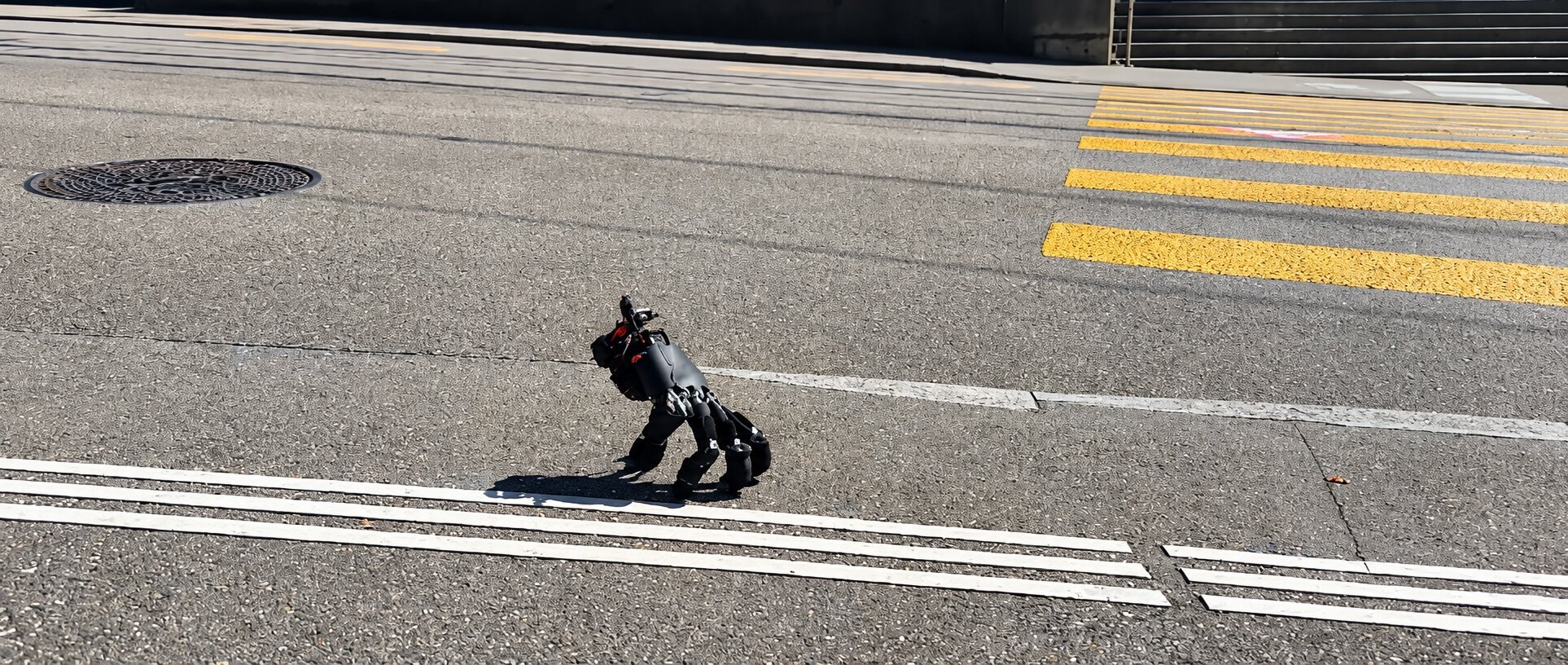 Soft Robotics Lab, ETH Zurich